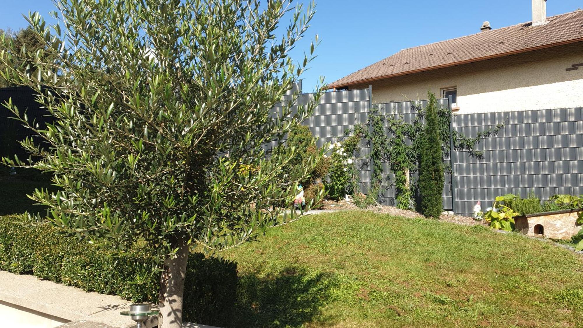 ביטש Le Gite Du Fort מראה חיצוני תמונה